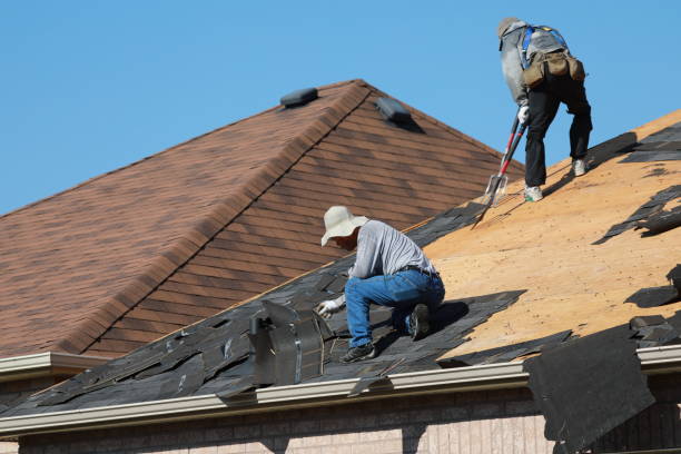 Best Roof Maintenance and Cleaning  in New Hampton, IA